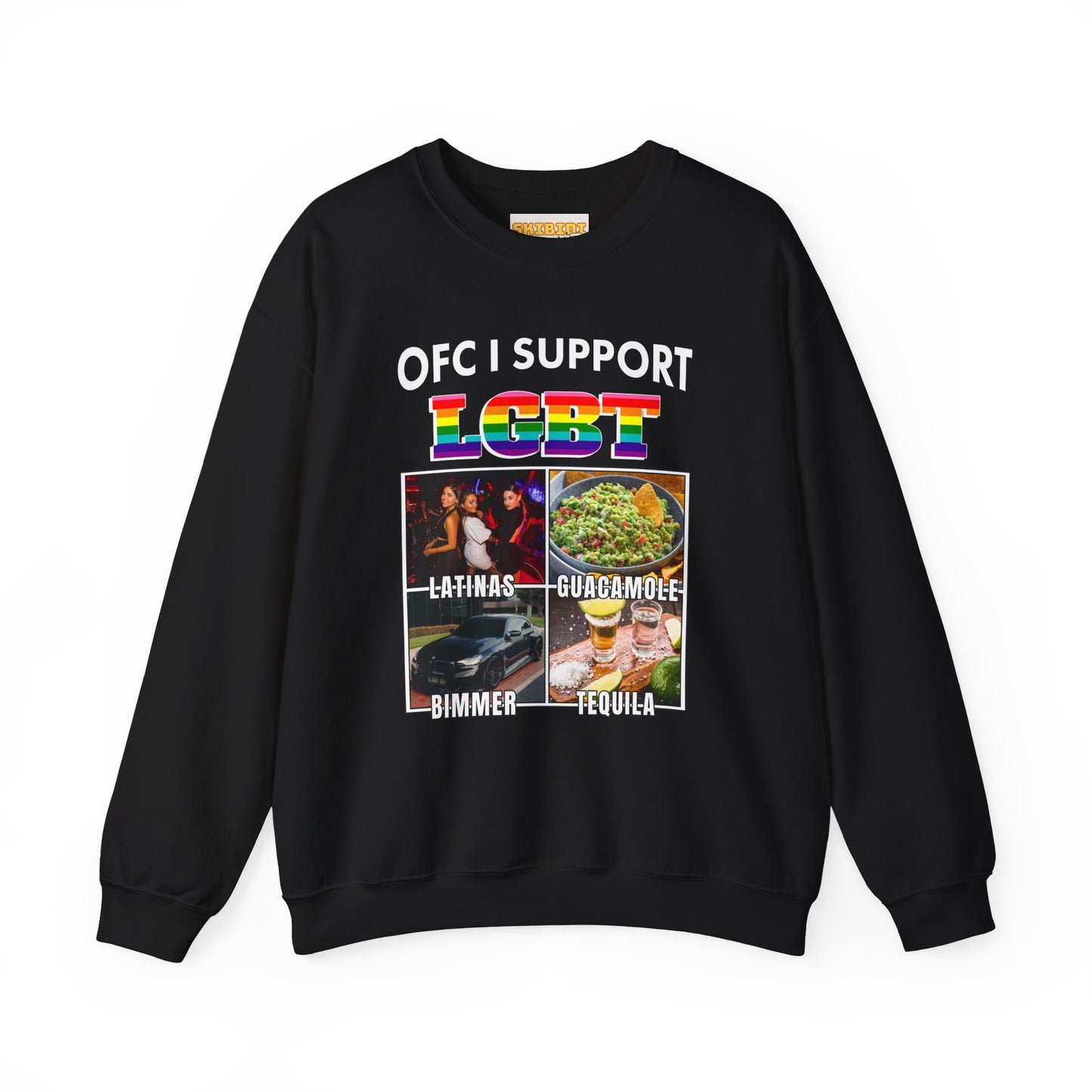 OFC I Support LGBT